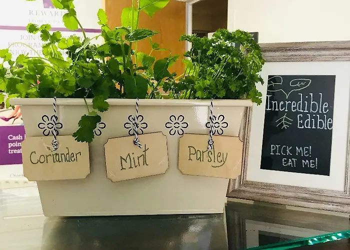 Premier Redcliffe Appartement