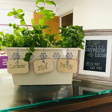 Premier Redcliffe Apartment